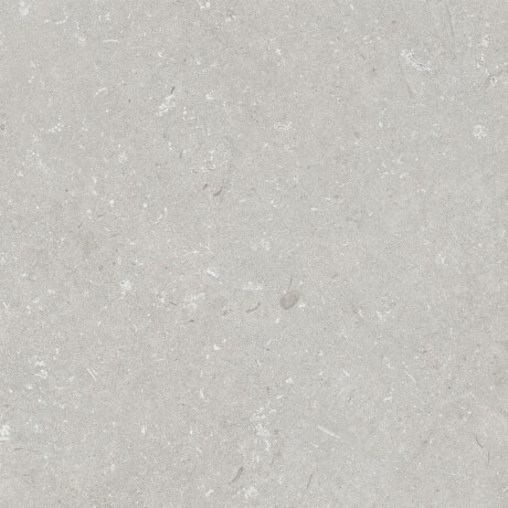 Gres för golv, 60x120 cm, ljusgrå matt, A4H1093 Shellstone Bianco #2