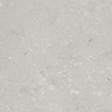 Gres för golv, 60x120 cm, ljusgrå matt, A4H1093 Shellstone Bianco #3
