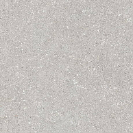 Gres för golv, 60x120 cm, ljusgrå matt, A4H1093 Shellstone Bianco #4