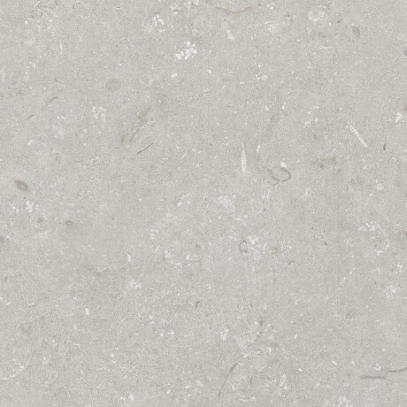 Gres för golv, 60x120 cm, ljusgrå matt, A4H1093 Shellstone Bianco #5