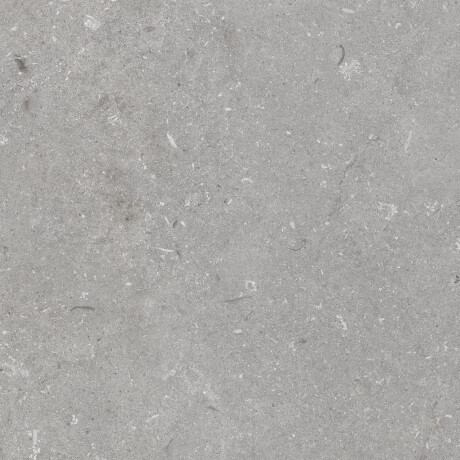 Gres för golv, 60x120 cm, grå matt, A4H1096 Shellstone Grigio #4