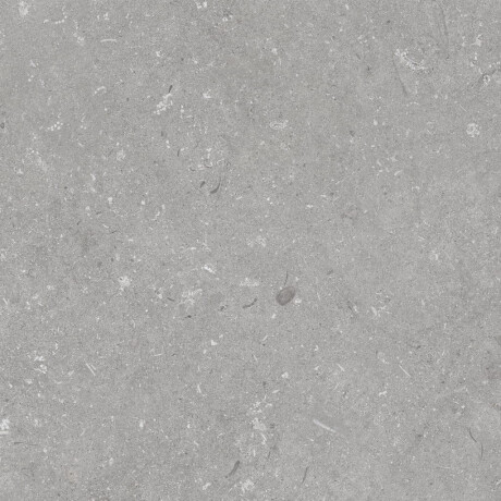 Gres för golv, 60x120 cm, grå matt, A4H1096 Shellstone Grigio #5