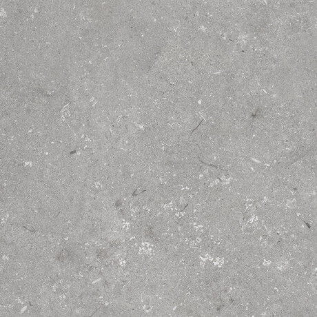 Gres för golv, 60x120 cm, grå matt, A4H1096 Shellstone Grigio #6