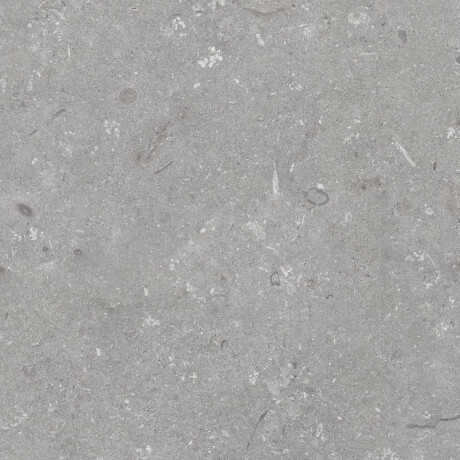 Gres för golv, 60x120 cm, grå matt, A4H1096 Shellstone Grigio #8