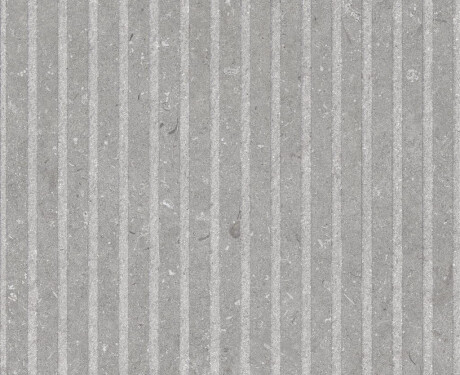 Väggplattor 60x120 cm, grå matt A4H1097 Shellstone Grigio Rigat-One