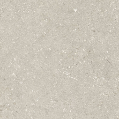 Gres för golv, 60x120 cm, beige, matt, A4H1099 Shellstone Beige #6