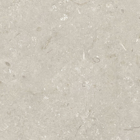 Gres för golv, 60x120 cm, beige, matt, A4H1099 Shellstone Beige #7