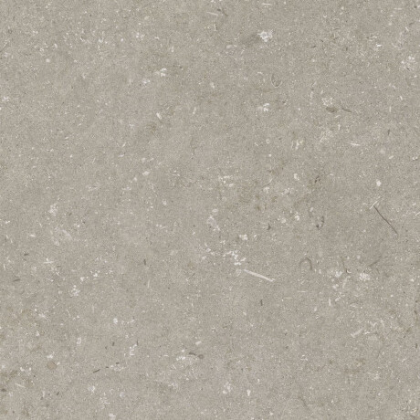 Gres för golv, 60x120 cm, taupe, matt, A4H1102 Shellstone Taupe #4