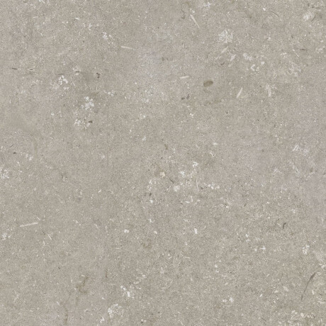 Gres för golv, 60x120 cm, taupe, matt, A4H1102 Shellstone Taupe #5