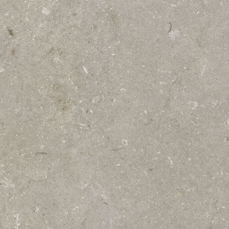 Gres för golv, 60x120 cm, taupe, matt, A4H1102 Shellstone Taupe #6