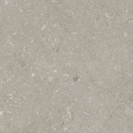 Gres för golv, 60x120 cm, taupe, matt, A4H1102 Shellstone Taupe #7