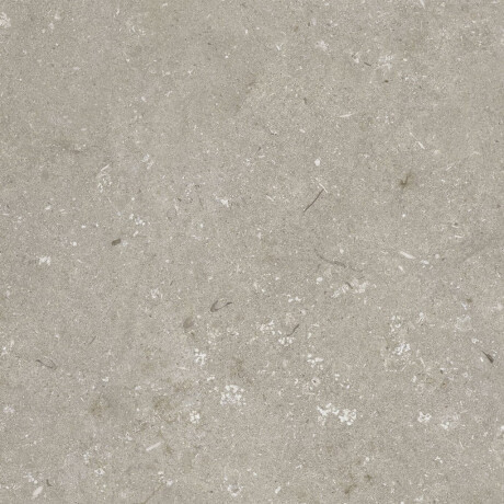 Gres för golv, 60x120 cm, taupe, matt, A4H1102 Shellstone Taupe #8