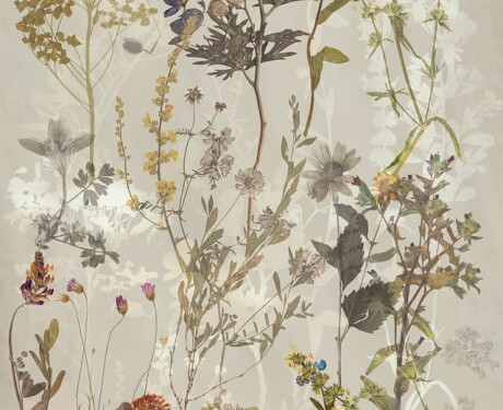 Väggplattor 60x120 cm, grå med blommönster, matt, A4H919 Glame