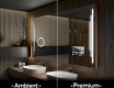 Badrumsspegel med LED-belysning Spegel L27 #1