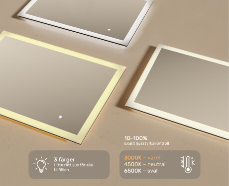 Rektangulärt LED-upplyst badrumsspegel 100x70 cm med Dual color, Touch-brytare #3