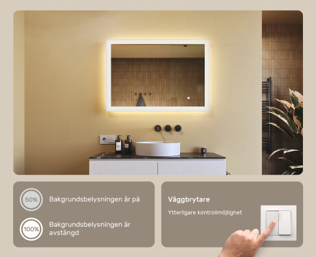 Rektangulärt LED-upplyst badrumsspegel 100x70 cm med Dual color, Touch-brytare #4