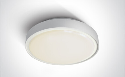 RAFTI AN taklampa 24 W 3000 K IP65 antracit
