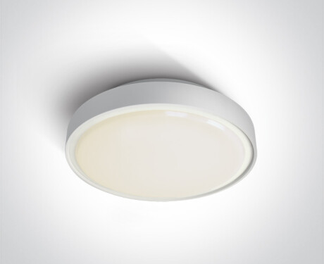 RAFTI AN taklampa 24 W 3000 K IP65 antracit
