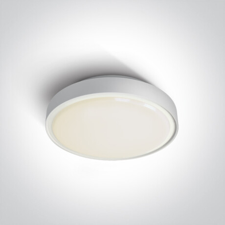 RAFTI AN taklampa 24 W 3000 K IP65 antracit #1