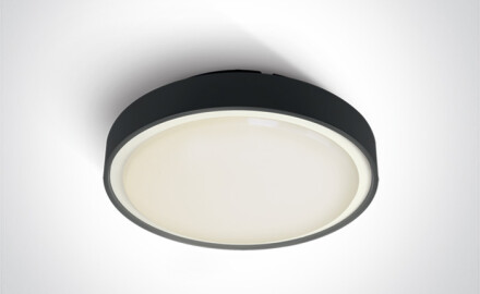 RAFTI E taklampa 12 W  IP65 antracit