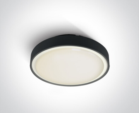 RAFTI E taklampa 12 W  IP65 antracit