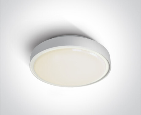 RAFTI E taklampa 12 W  IP65 grå