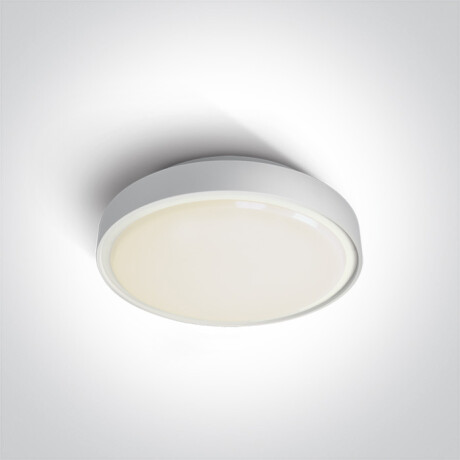 RAFTI E taklampa 12 W  IP65 grå #1