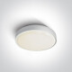 RAFTI E taklampa 12 W  IP65 grå #1