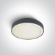 RAFTI E taklampa 12 W, IP65, vit #1