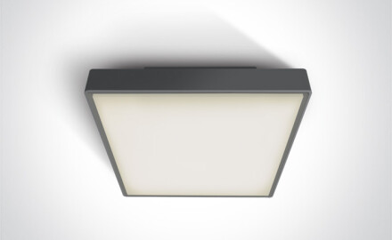 PIRNARI AN taklampa 24 W 3000 K IP65 grå