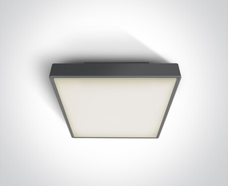 PIRNARI AN taklampa 24 W 3000 K IP65 grå