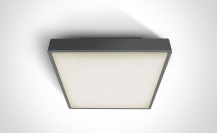 PIRNARI EA taklampa 2x12W E27 IP65 vit