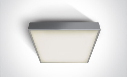 PIRNARI N taklampa 16 W 3000 K IP65 antracit