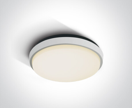 FASIDERI taklampa 20 W 3000 K IP54 antracit