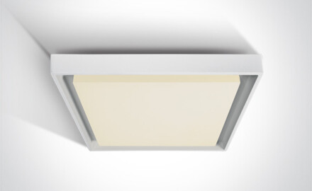 PASIO taklampa 30 W 3000 K IP54 antracit