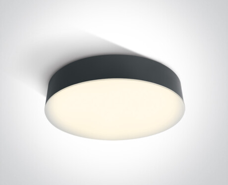 PASIO taklampa 30 W 3000 K IP54 vit
