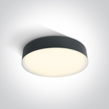 PASIO taklampa 30 W 3000 K IP54 vit #1