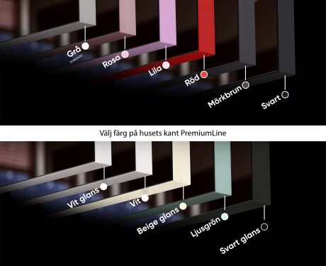 SMART Badrumsspegel med belysning LED L126 Apple #7