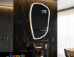 Oregelbunden spegel med belysning LED SMART I222 Google